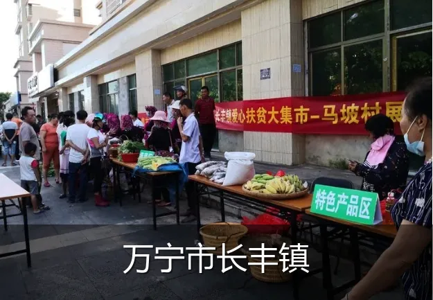 万宁市长丰镇